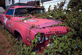 We Buy Junk Cars Cash Hialeah 